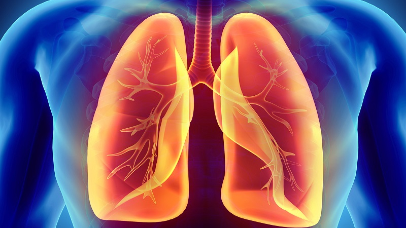 Ion âm có thể cải thiện chức năng hoạt động của lá phổi
