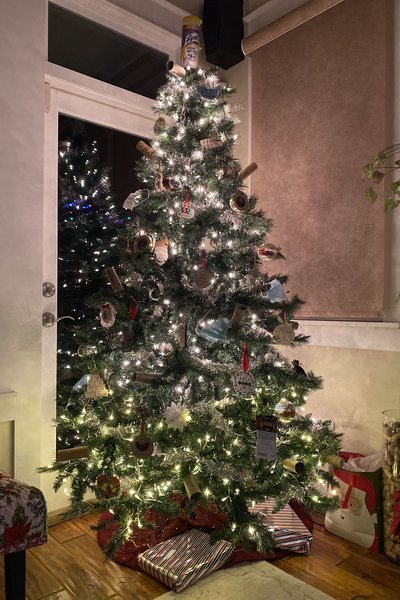 Những cây thông Noel ‘độc nhất vô nhị’ giữa mùa dịch Covid-19