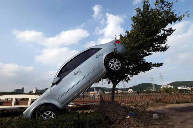 Chiếc xe bị nhấc bổng và hạ xuống cây. (Nguồn: QQ)​
