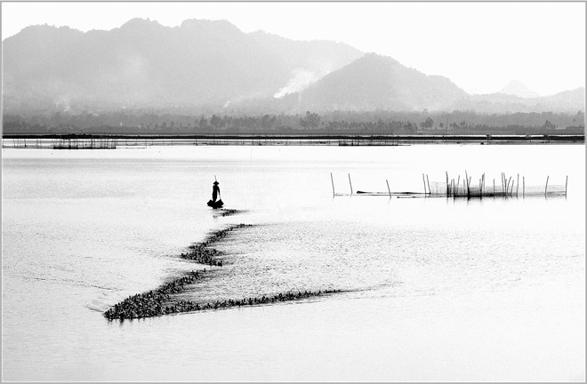 Mùa nước nổi ở An Giang tạo nên một khung cảnh độc đáo, nên thơ. Cảnh lùa vịt cũng được thi vị hóa như một bức tranh thủy mặc.