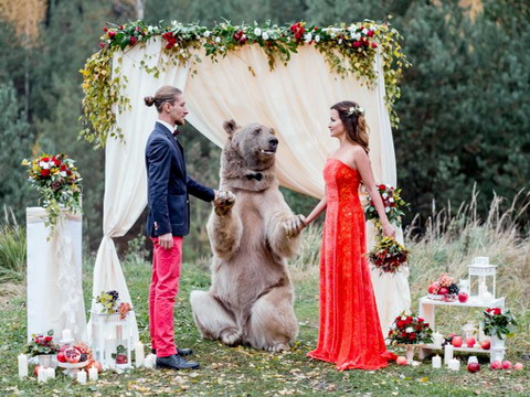 Cặp uyên ương mời gấu khổng lồ làm chủ trì hôn lễ