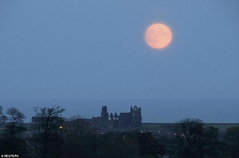 Mặt trăng mọc ở nước Anh ngày 13/11. Đây chưa phải thời điểm trăng tròn nhất. Ảnh: 