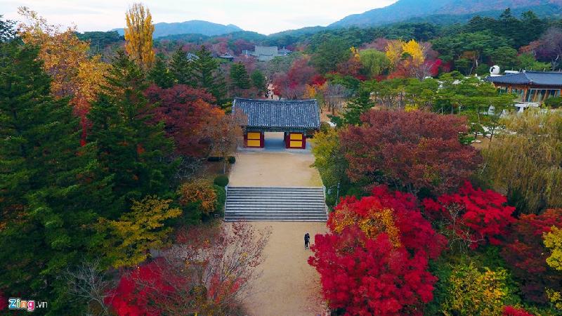Đây cũng là một trong những ngôi chùa có cảnh sắc đẹp nhất Hàn Quốc vào mỗi dịp mùa thu, mùa đông.
