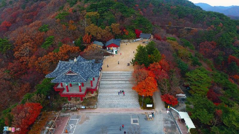 Người dân cho biết thời điểm giữa tháng 11, phong cảnh xứ kim chi mang nhiều màu nhất bởi lúc này có cả lá xanh, lá tím nâu và lá rụng.
