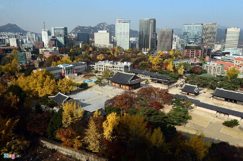 Cung điện Deoksu tại thủ đô Seoul sáng 16/11. Đây là nơi lá vàng đang tàn dần nhiều nhất, dần ngả sang màu đen đầu đông.