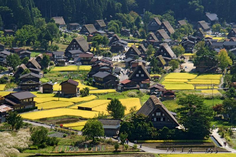 Làng cổ Shirakawa-go nằm ở chân núi Haku-san, tỉnh Gifu, miền Trung Nhật Bản, được UNESCO công nhận là di sản văn thế giới năm 1995. Ảnh: 