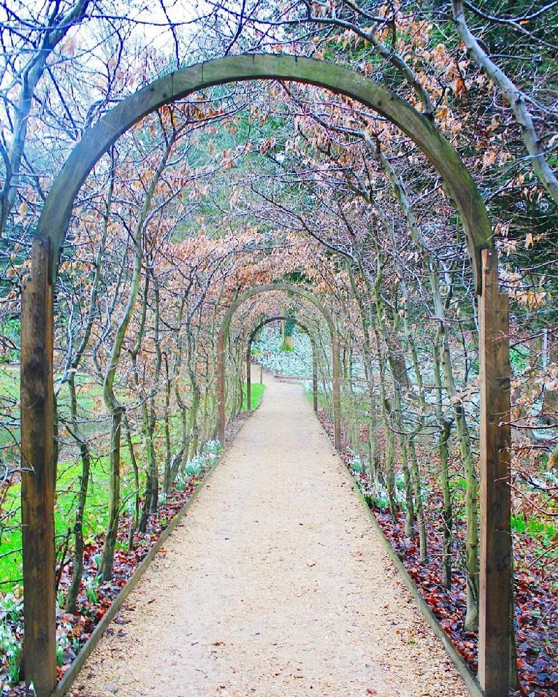 8. Công viên Painswick Rococo Garden, Cotswolds, Anh: Những khung hình như bước ra từ câu chuyện cổ xưa yêu thích của bạn. Đường mái vòm che phủ bởi những nhánh cây và hoa sẽ đưa bạn tới thế giới của những hiệp sĩ trung cổ. Ảnh: Rosa Gold Instagram.