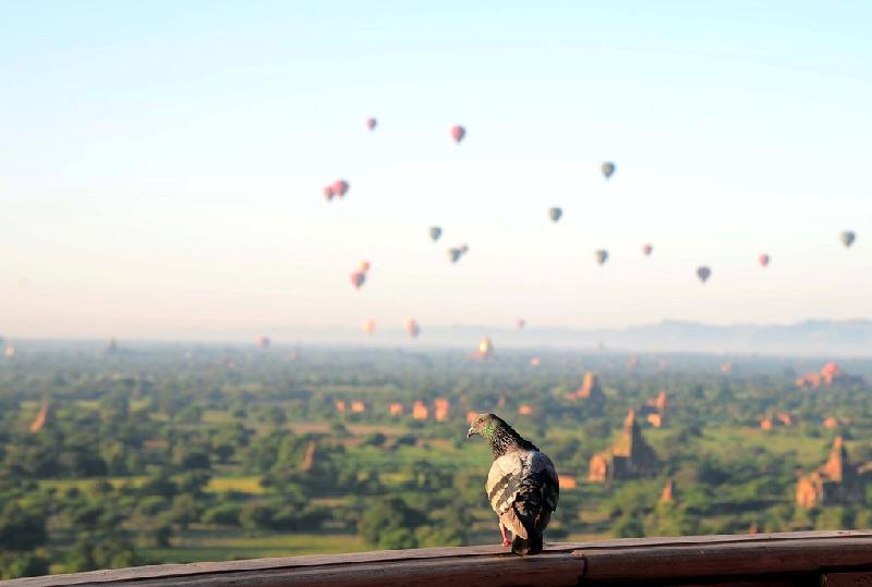 Ở Bagan, người dân thân thiện và mến khách khiến mọi thứ trở nên an nhiên.