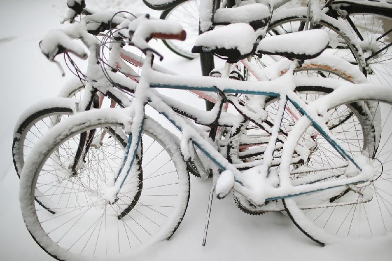 Tuyết rơi dày trong khu vực đậu xe đạp của Đại học Chicago ngày 13/3. Trong khi đó, chính quyền bang New York tuyên bố tình trạng khẩn cấp ở một số khu vực và cho phép các trường học công đóng cửa. Ảnh: 