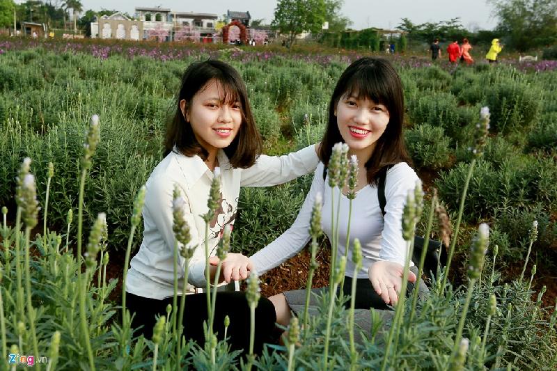 Sau khi biết thông tin về cánh đồng hoa lavender, nhiều bạn trẻ đã tranh thủ đến chụp ảnh.