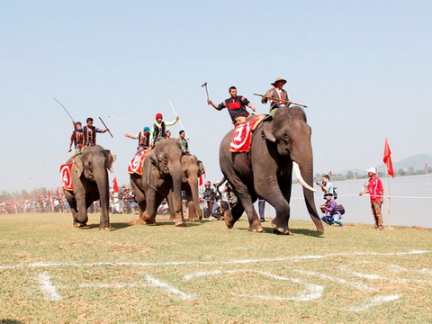 Hàng nghìn người đội nắng xem đua voi