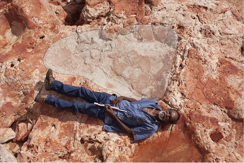 Phát hiện dấu chân khủng long lớn nhất thế giới ở Australia