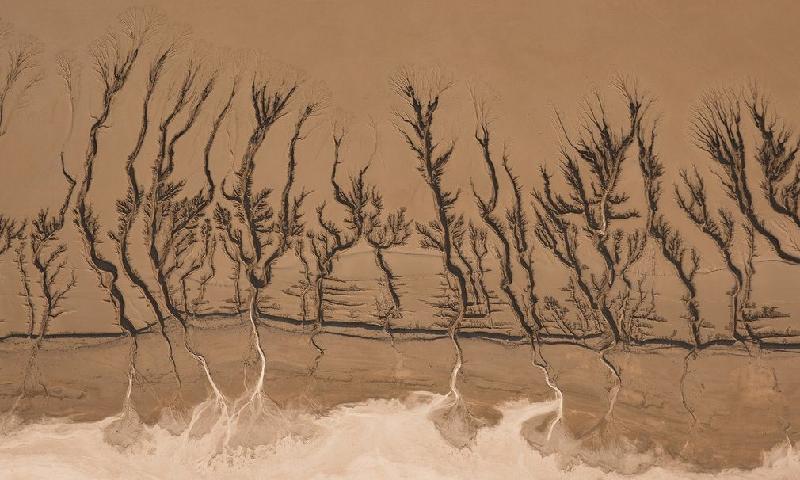 Vết tích của những dòng nước từng tồn tại trong sa mạc Mojave của California, Mỹ do Aya Okawa. Hình ảnh này là một phần kết quả quan sát trong hai năm của nhiếp ảnh gia về sự biến đổi của thế giới tự nhiên.