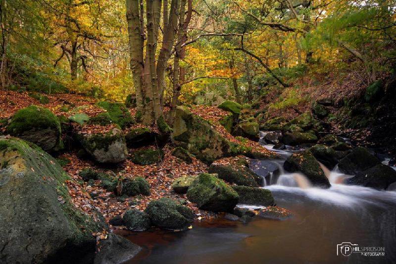 Vương quốc Anh là nhà của nhiều khu rừng tuyệt đẹp như cổ tích, nhưng nổi bật nhất trong số ấy là khu rừng thuộc quận Peak. Khi những loài cổ thụ thay màu áo mới theo các mùa, vẻ đẹp của khu rừng có thể khiến trái tim của bất cứ ai được chiêm ngưỡng cảm thấy xao xuyến. Ảnh: 