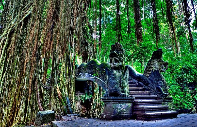Rừng Khỉ Ubud nằm ở Bali, Indonesia được đánh giá là một khu rừng mang cả vẻ đẹp thiên nhiên và văn hóa. Đây không chỉ là nhà của hơn 600 con khỉ, mà còn có các đền thờ Hindu cổ xưa có từ năm 1350. Ảnh: 