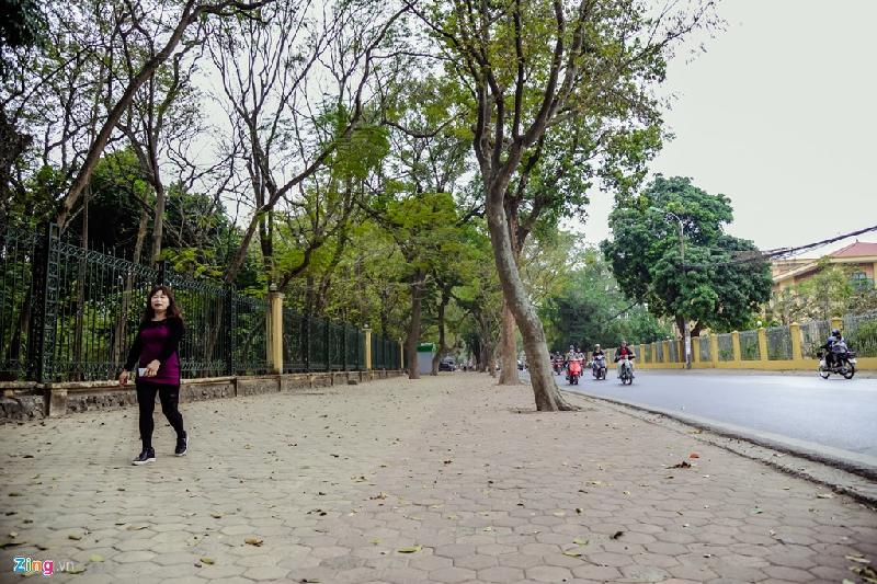 Bà Hồng (Bắc Giang) đang công tác tại Hà Nội cho biết: “Trước khi có chuyến làm việc tại Hà Nội, tôi rất ngại về đường sá, xe cộ ở đây. Nhưng thật may cơ quan tôi lại nằm trên đường Hoàng Hoa Thám, có vỉa hè sạch đẹp, gần công viên Bách Thảo, không khí trong lành như ở quê vậy”.