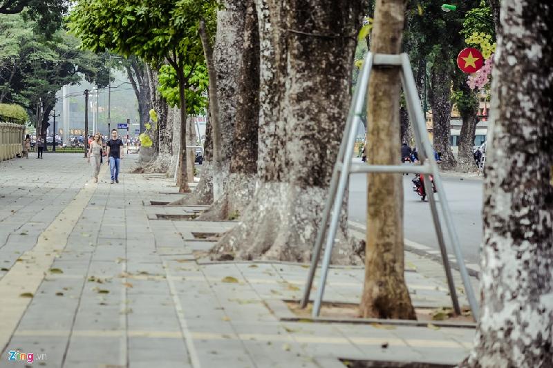 Trái ngược với cảnh ồn ã, xô bồ khu vực phố cổ (quận Hoàn Kiếm) cách đó không xa, du khách hoàn toàn có thể thả mình vào không gian xanh mát của những cây cổ thụ hàng chục năm tuổi trên đường Điện Biên Phủ.