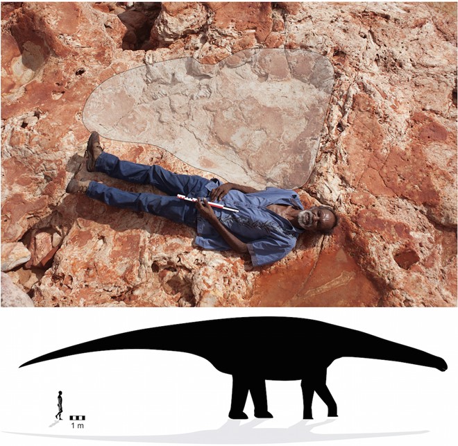 Khu vực được cho là dấu chân khủng long vừa tìm thấy ở Australia. Ảnh: 