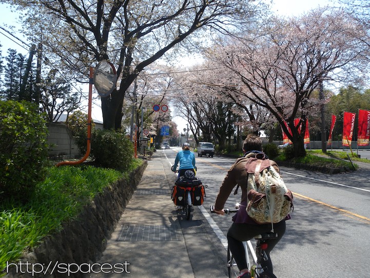 Bạn có thể ngắm hoa và đi ôtô về hướng Kinugawa, một địa điểm du lịch nổi tiếng. Ảnh: Space.
