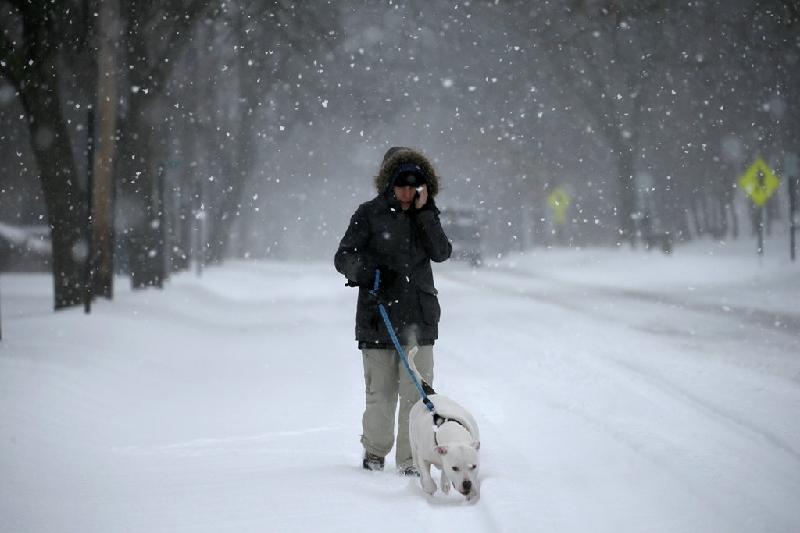 Một phụ nữ đi dạo cùng chó tại New York. Nhiệt độ tại đây đã xuống dưới 0 độ C vào ngày 14/3. Ảnh: 