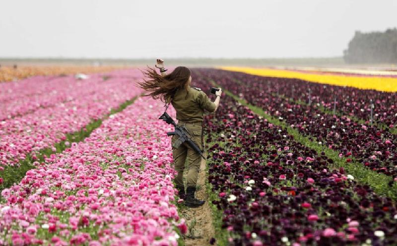 Hoa mao lương nở dọc dải Gaza tạo nên cảnh sắc thiên nhiên đẹp nao lòng. Trong ảnh, nữ quân nhân Israel đang tạo dáng chụp ảnh giữa vườn hoa đua nhau khoe sắc. Ảnh: Getty. 