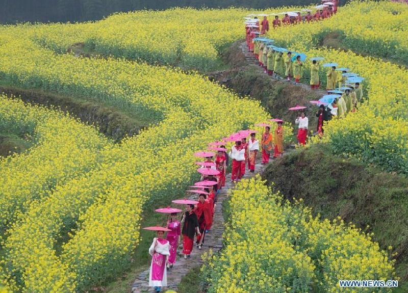 Thiếu nữ Trung Quốc đi dạo trên cánh đồng hoa vàng trải dài bất tận ở thành phố Longquan, tỉnh Chiết Giang. Ảnh: News.cn. 