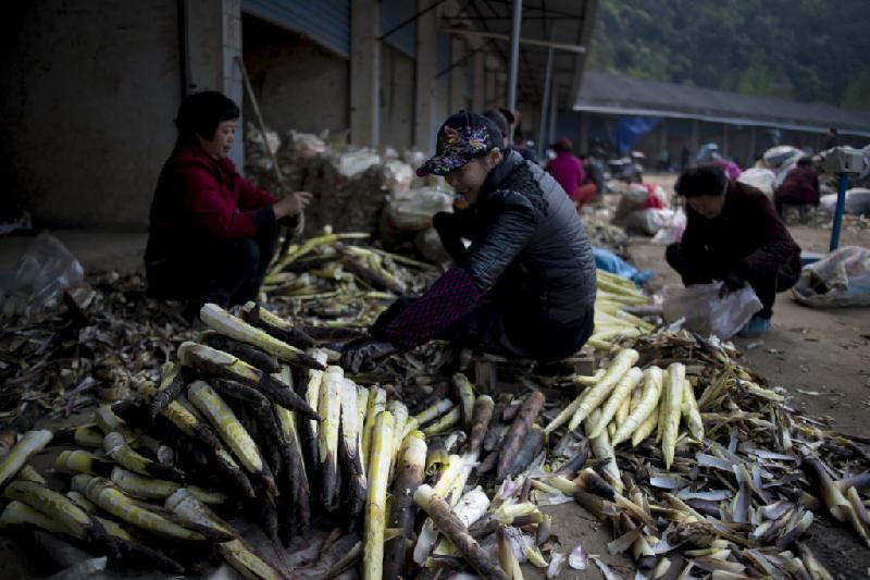 Lang Erhua, một người bán hàng khác, cho hay dân trong vùng ai cũng biết cách chế biến măng. 
