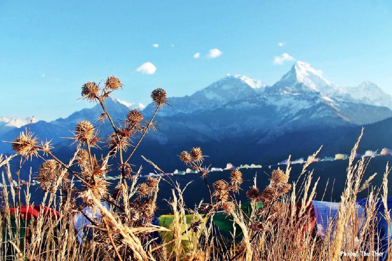 1. Đồi Poon có dành cho người leo núi nghiệp dư? Đồi Poon (Pokhara, Nepal) cao 3.210 m, là cung đường trekking dễ dàng nhất trong dãy Himalaya. Con đường mòn bằng phẳng và gồm các bậc đá. Cung đường không dài - chỉ 4 ngày nên không khiến người trek quá mệt mỏi.