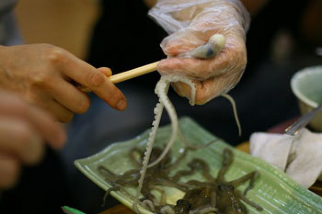 Đối với cách ăn nguyên con, bạch tuộc được chọn thường nhỏ hơn. Người ăn sẽ dùng tay cầm hoặc quấn con vật quanh đũa để cho vào miệng. Ảnh: Pantip.