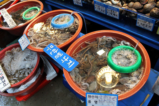Chợ cá Noryangjin là một trong những nơi bán sannakji nổi tiếng nhất ở Seoul, ít nhất là với du khách. Tầng một của chợ là nơi bán đủ loại hải sản, tầng hai là vô số nhà hàng bán và nhận chế biến đồ ăn cho khách. Ảnh: Will Fly for Food.