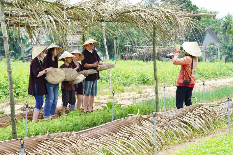 Thời gian gần đây, làng rau Trà Quế cách phố cổ khoảng 3 km trở thành điểm đến hấp dẫn du khách. Nơi này là nguồn cung cấp rau cho các món ăn đặc trưng ở Hội An như mì Quảng, cao lầu… Ảnh: Duy Linh.