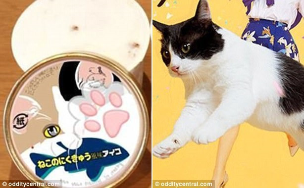 Các nhà tổ chức Lễ hội thú cưng Nhật Bản 2017 tạo ra một loại kem mô phỏng cảm giác và mùi vị của chân mèo. Kem được bán với giá 380 yên (khoảng 77.000 đồng).