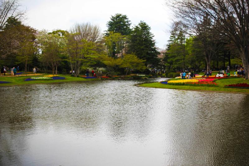 Nằm ở Tachikawa, cách trung tâm Tokyo 30 phút đi tàu, công viên có nhiều hồ nước xinh xắn, sân chơi và cảnh quan tuyệt đẹp. Du khách phải cần cả ngày mới khám phá hết nơi này.