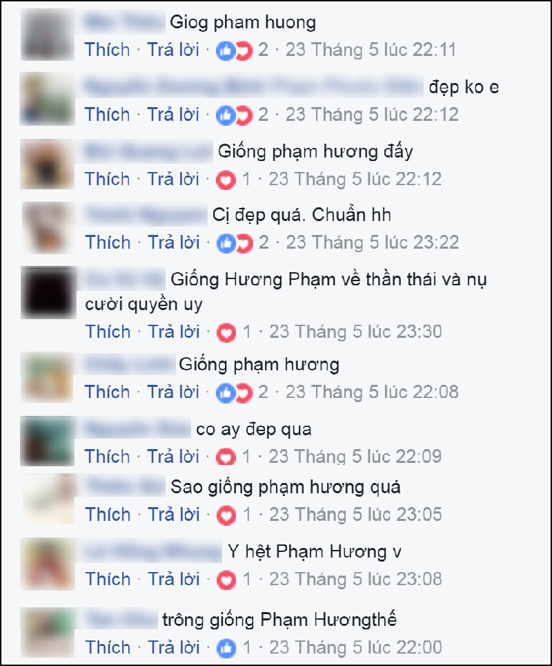 Rất nhiều khán giả nhận định Vỹ Đình giống hoa hậu Phạm Hương.