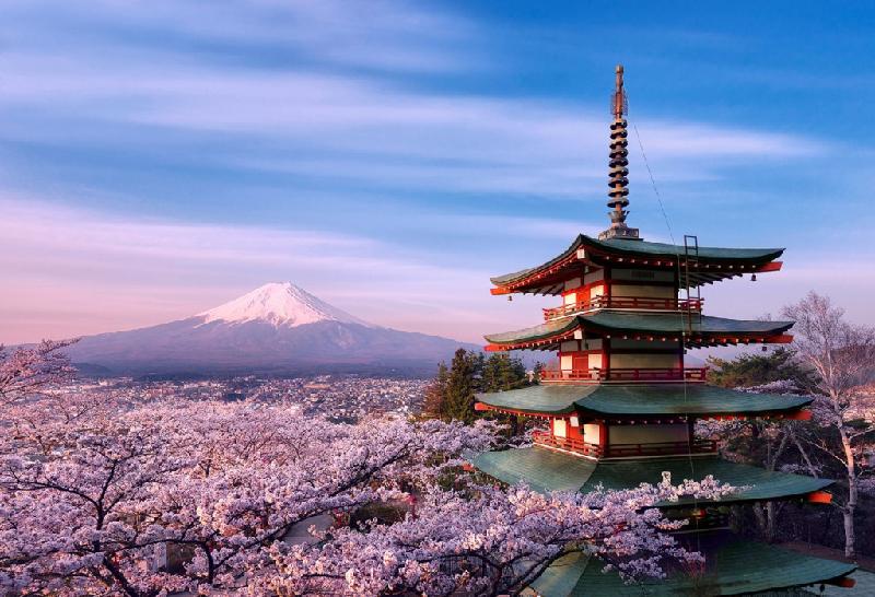 Mới đây, trang Trip Advisor đã đưa ra danh sách 30 điểm du lịch nổi tiếng nhất trong năm nay của Nhật Bản. Kết quả được tổng kết từ ý kiến của du khách khắp thế giới. Đây là năm thứ 9 Trip Advisor công bố dạng danh sách này. Các địa điểm đứng đầu thu hút hàng nghìn nhận xét bằng đủ các thứ tiếng. Dưới đây là 15 cái tên được du khách ưa chuộng nhất. Ảnh: Estaline.