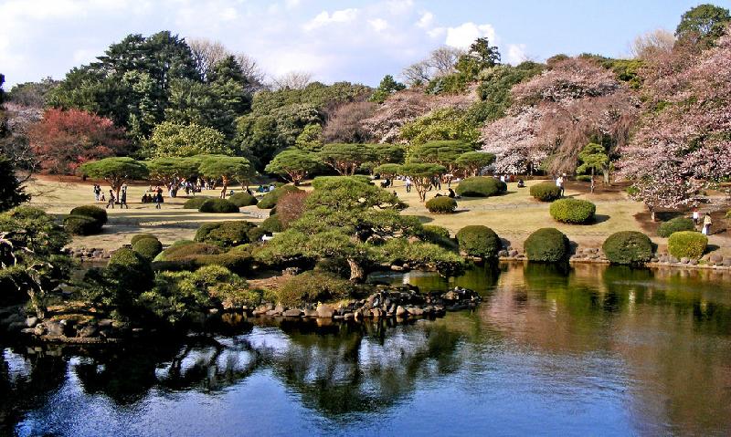 7. Công viên Quốc gia Shinjuku Gyoen (Tokyo): “Chốn thư giãn tuyệt vời ở Shinjuku. Công viên quốc gia trồng rất nhiều loại cây, hoa, và có cả một nhà kính với hoa phong lan và các loài cây nhiệt đới”. Ảnh: Ststev.