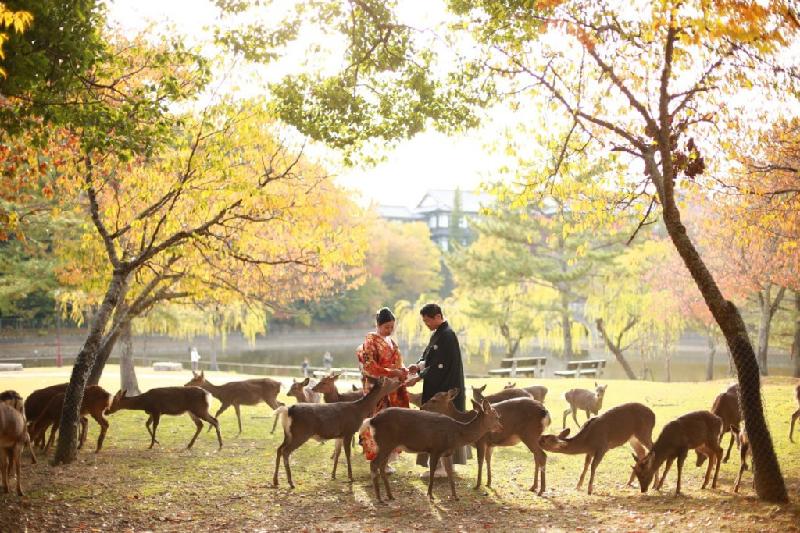 11. Công viên Nara (Nara): “Công viên Nara gây ấn tượng với phong cảnh và các tòa nhà. Có thể đi dạo ở đây hàng tiếng đồng hồ tìm tòi điều mới lạ. Các chú hươu sẽ làm bạn đồng hành ở mọi nơi bạn tới”. Ảnh: Famarry.