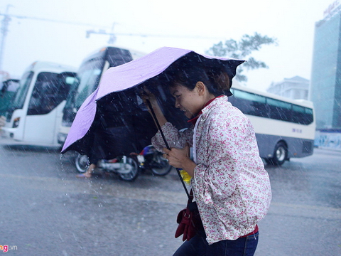 Người đi đường loay hoay trong cơn mưa rào giải nhiệt