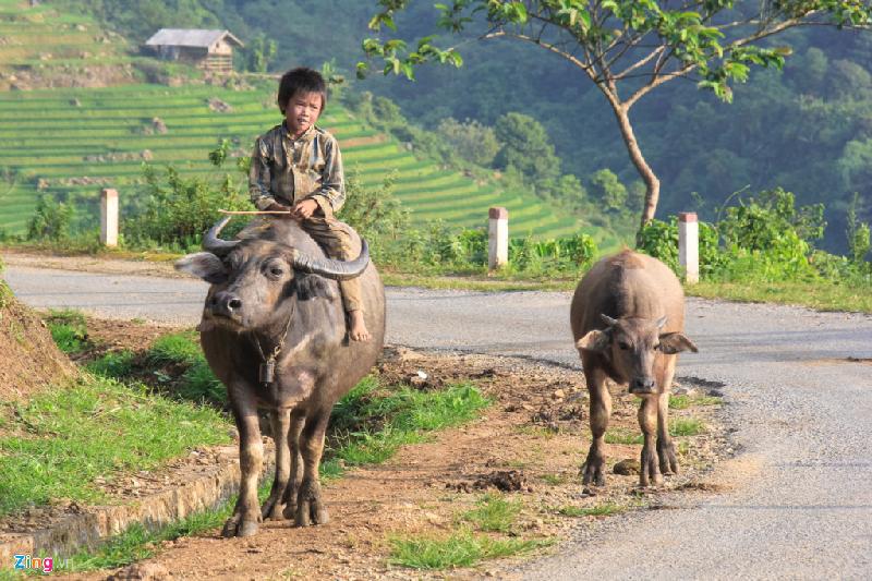 Bên cạnh những thành tích về kinh tế xã hội, Việt Nam vẫn phải đối mặt với một thực tế là khoảng cách giàu nghèo, giữa người Kinh và các dân tộc thiểu số, giữa thành thị và nông thôn ngày càng lớn. Có 40% trẻ em nghèo sống ở các vùng nông thôn, trong khi đó tỷ lệ trẻ em nghèo sống ở các thành phố là khoảng 10%.