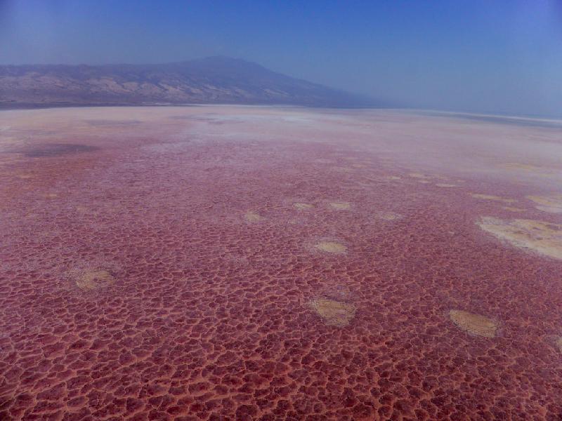 Hình ảnh này có khiến bạn liên tưởng đến cảnh trên sao Hỏa, thường thấy trong các phim khoa học viễn tưởng? Sự thực đó ảnh chụp từ trên cao của hồ nước Natron ở Tanzania. Màu sắc của hồ nước là do nhiệt độ lên tới 120oc và mức PH thấp, là nơi nuôi dưỡng hoàn hảo cho một loài tảo màu hồng phát triển. Ảnh: Valexus.ch. 