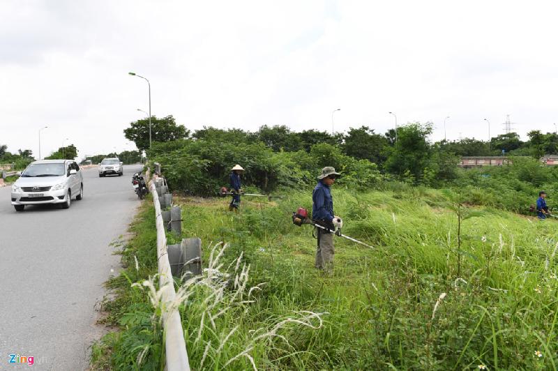 Ngày 6/7, trên đại lộ Thăng Long (đoạn cắt từ đường Lê Quang Đạo tới Châu Văn Liêm), khoảng hơn 10 công nhân công ty TNHH một thành viên Công viên cây xanh Hà Nội cắt cỏ trong khu vực dải phân cách.