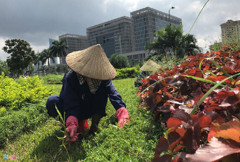 Khu vực đầu ngã tư giao cắt với đường Lê Quang Đạo, một nhóm nữ công nhân làm nhiệm vụ nhặt cỏ dại và tỉa các khóm hoa, tiểu cảnh trang trí trên thảm cỏ.