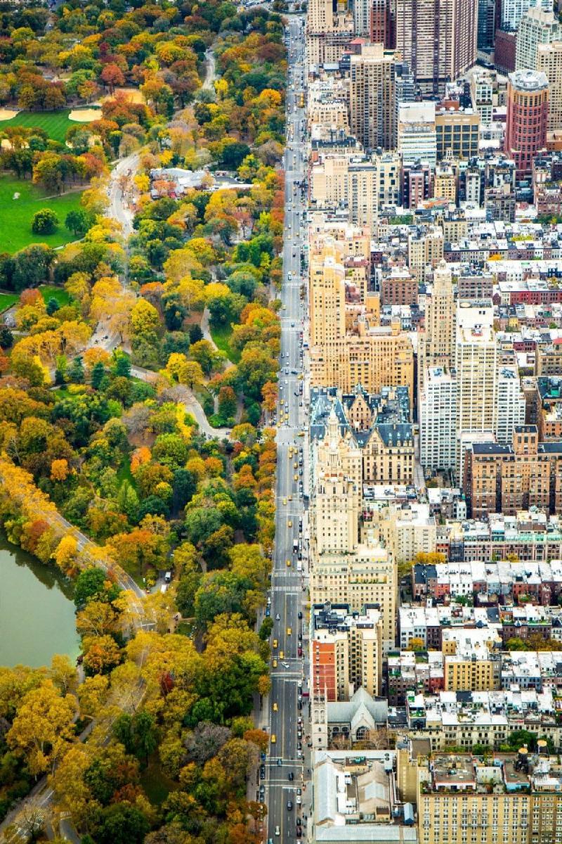2 thế giới khác biệt tại New York, Mỹ.