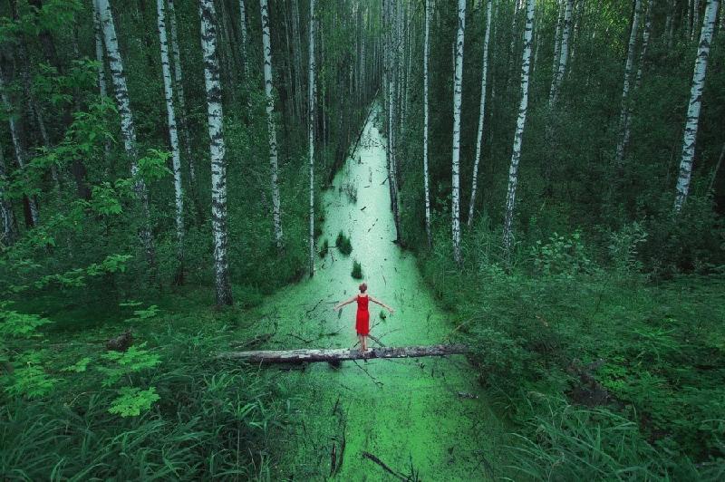 Cánh rừng bất tận tại Nga.