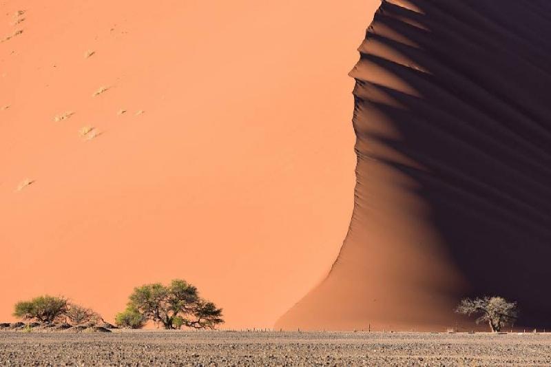Đụn cát hình sóng biển tại sa mạc Namib (Namibia).
