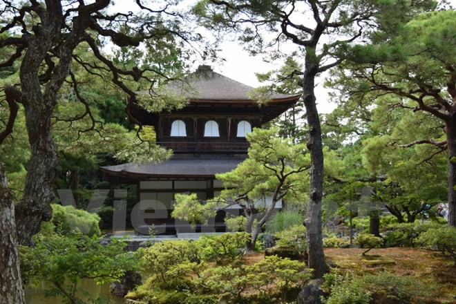 Kyoto với những thắng cảnh và những di tích lịch sử nổi tiếng là một trong những điểm đến du lịch được ưa thích nhất của Nhật Bản. (Ảnh: Nguyễn Tuyến/Vietnam+)