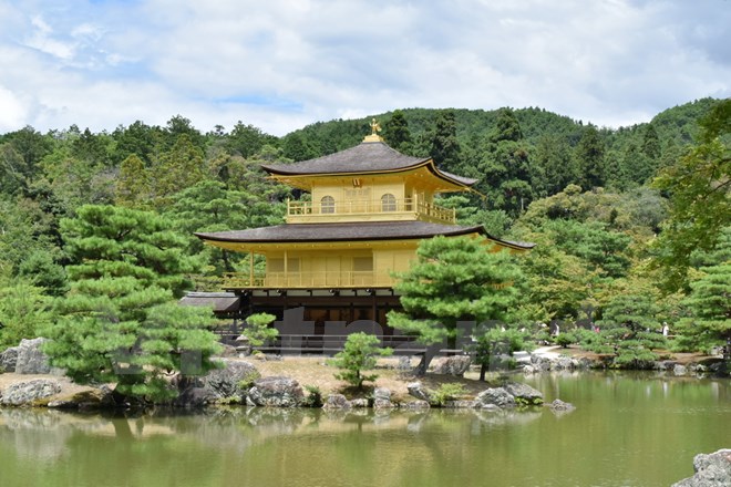 Trong số này, Chùa Vàng, Chùa Bạc và Chùa Ryoanji là ba ngôi chùa tiêu biểu tại Kyoto với phong cách kiến trúc đôc đáo và phong cảnh thiên nhiên tươi đẹp. (Ảnh: Nguyễn Tuyến/Vietnam+)
