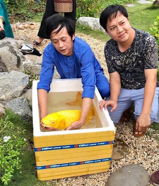 Hoài Linh thả cá vàng được tặng vào bể cá trong nhà thờ Tổ nghề. Anh chia sẻ: 