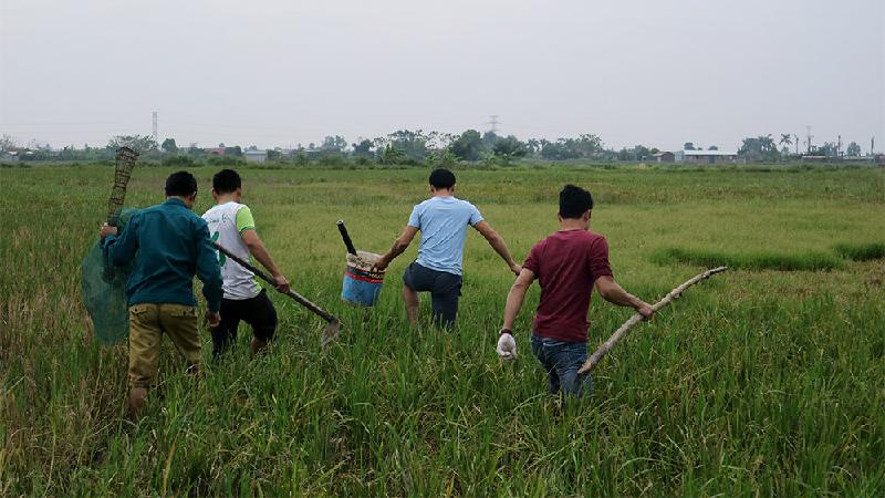 Chỉ với cây gậy, cái cuốc, mảnh lưới... những thanh niên xã Thạch Thán đã có thể thực hiện buổi săn chuột đồng ngay tại cánh đồng đang mùa bỏ không của xã mình. Tất nhiên không thể thiếu chiếc điếu cày truyền thống của người nông dân Việt xưa.