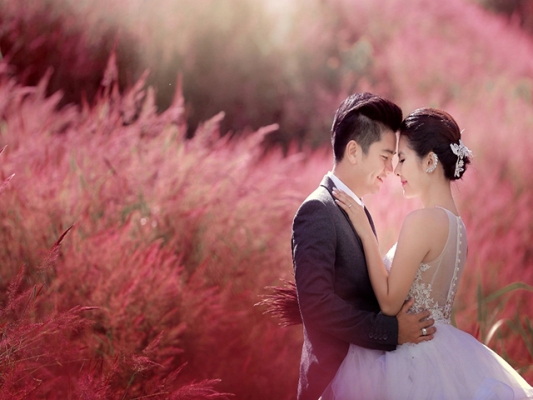 Nếu bạn muốn có một bộ ảnh cưới lãng mạn thì có thể đến đồi cỏ hồng để ghi lại những khoảng khắc tuyệt vời trước khi bước vào cuộc sống lứa đôi. @internet